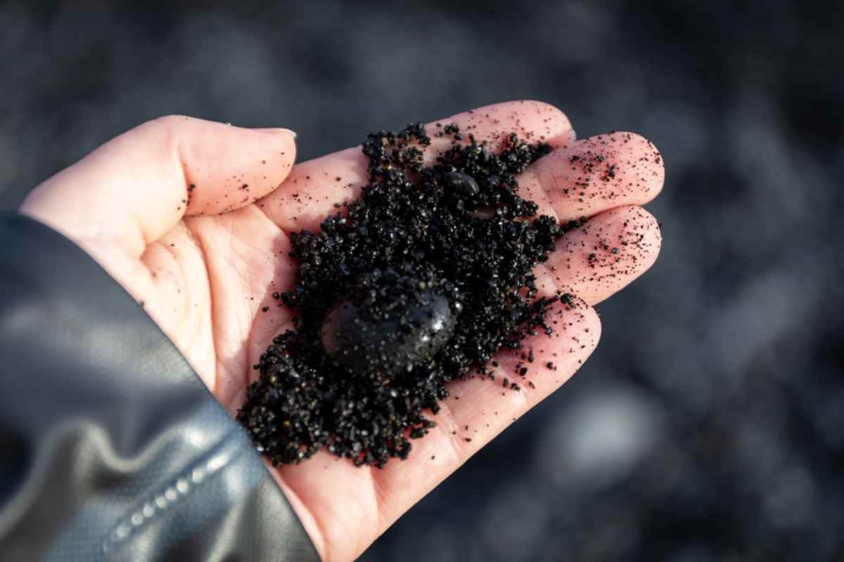 A hand holds black sand and basalt of the same color taken from Reynisfjara Beach in Iceland.