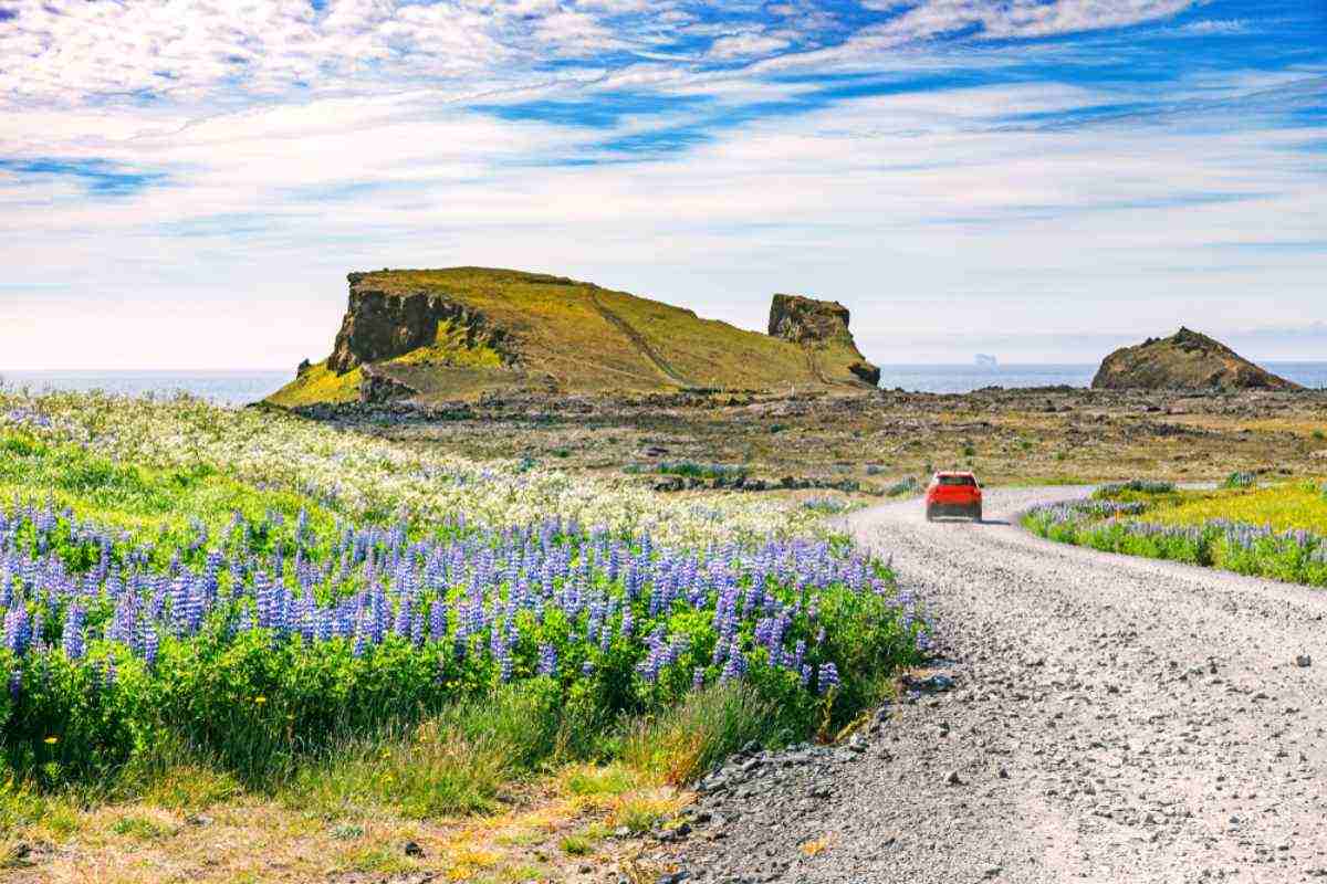 A red car leaves the road through Iceland's Golden Circle in the distance in a floral setting that looks like something out of a fairy tale.
