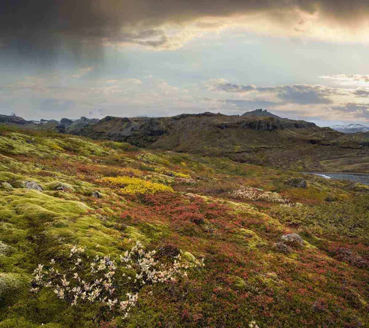 Colorful, moss-covered landscape with patches of red and yellow foliage, under a dramatic cloudy sky in a remote, mountainous region.