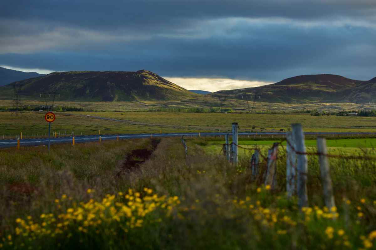 Speed limits in Iceland Open road in rural Iceland with a 90 km/h speed limit sign, wildflowers, and rolling green hills