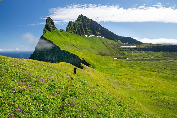 Hornstrandir Nature Reserve A stunning view of the lush green landscape of Hornstrandir Nature Reserve in Iceland, featuring a hiker on a trail with a majestic mountain in the background under a bright blue sky.