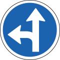You can either turn left of right sign