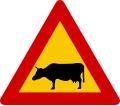 Watch for cattle road sign