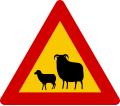Watch for sheep sign