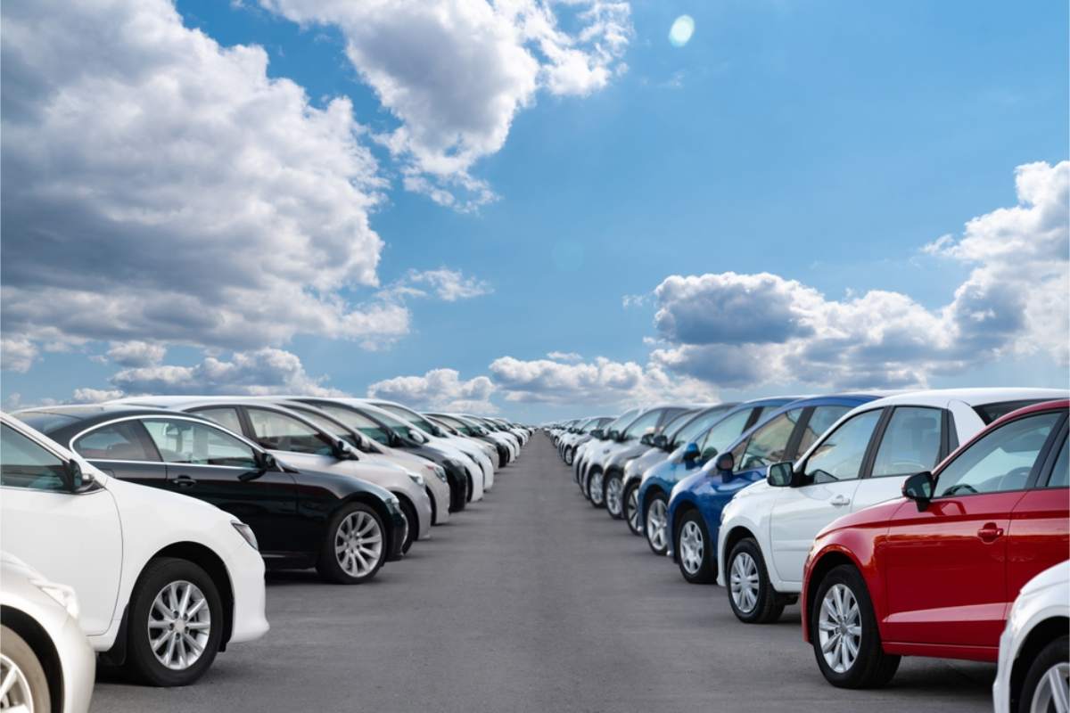 Long rows of parked rental cars under a blue sky in Iceland