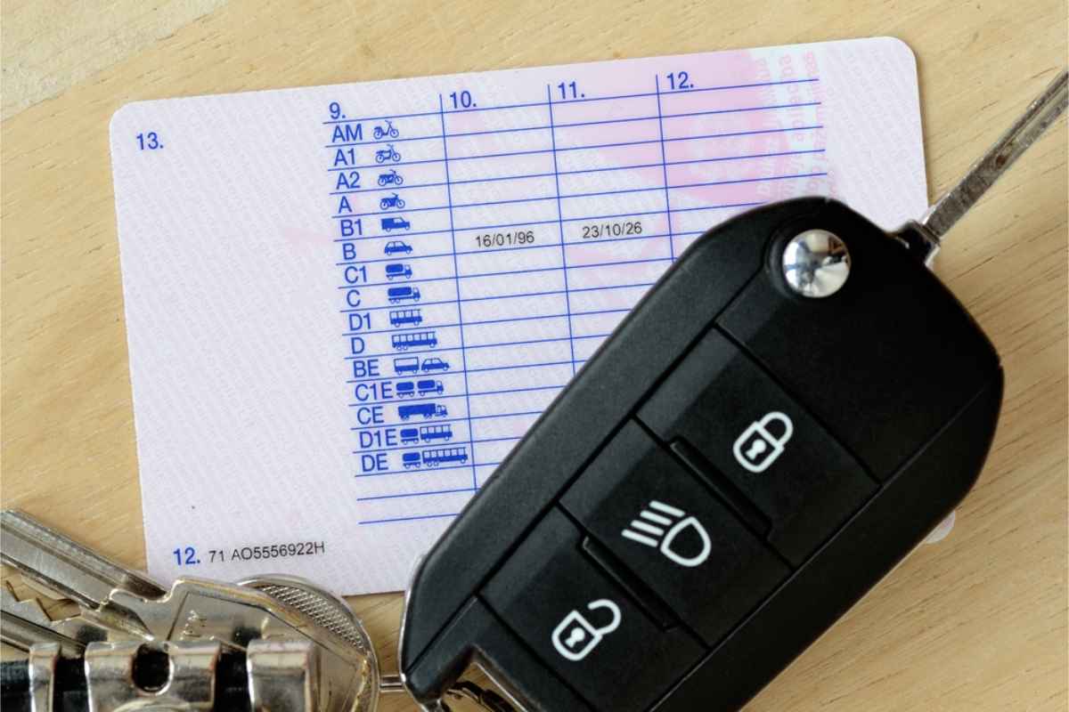 Parte trasera de un permiso de conducir europeo en primer plano