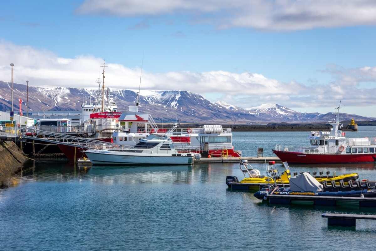 Excursions d'une journée à partir de Reykjavik: une liste complète