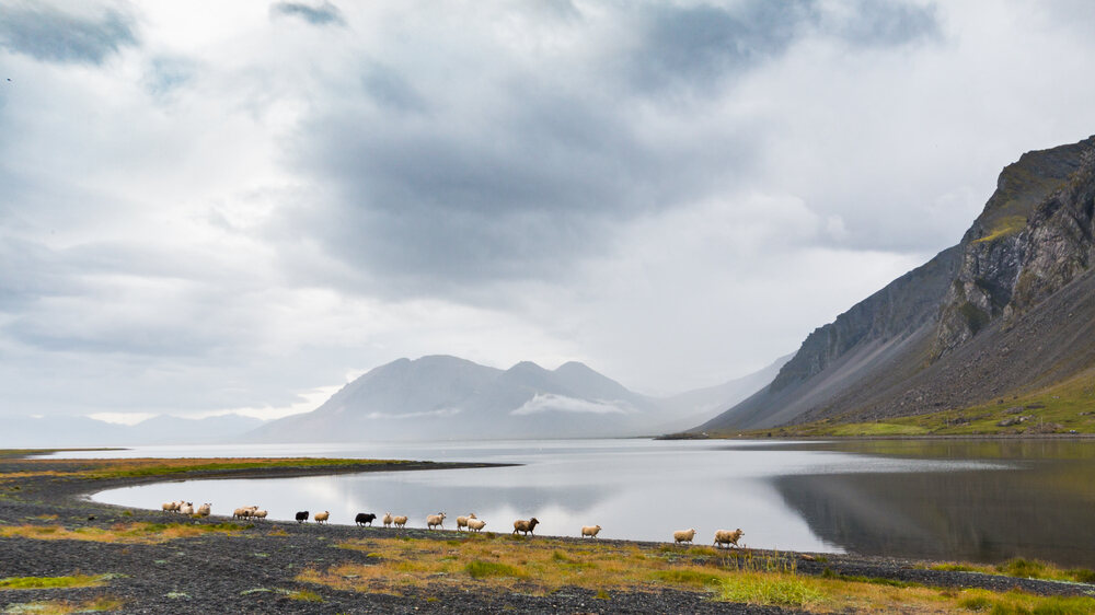 Top 15 des endroits à visiter dans l’est de l’Islande