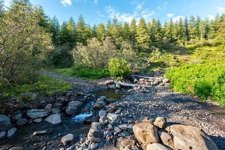 Petit ruisseau sinueux traversant une forêt verdoyante et un terrain rocheux sous un ciel bleu clair en Islande.