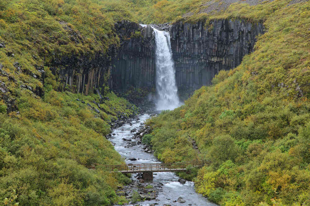 Un Joyau Caché d’Islande: La Cascade Svartifoss