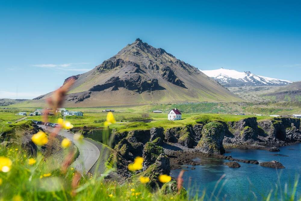 Une vue panoramique sur un paysage islandais avec une maison blanche nichée au pied d'une montagne volcanique. Le premier plan est parsemé de fleurs jaunes, tandis que l'arrière-plan montre des pics enneigés sous un ciel clair et ensoleillé.