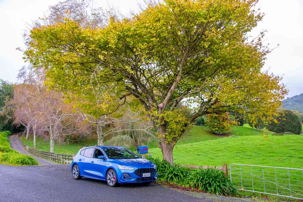 Standard Une voiture bleue compacte est garée près d’un grand arbre au feuillage vert-jaune, dans un paysage de campagne. Une route étroite serpente autour d’un champ verdoyant sous un ciel couvert.