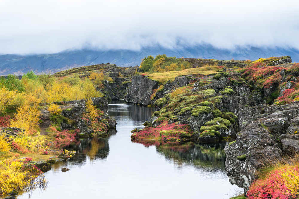Les merveilles géologiques de Thingvellir Canyon coloré en automne dans le parc national de Thingvellir, avec des rochers couverts de mousse, des arbustes rouges et jaunes, et une rivière calme qui coule au centre. Les montagnes sont enveloppées d'une légère brume à l'arrière-plan.