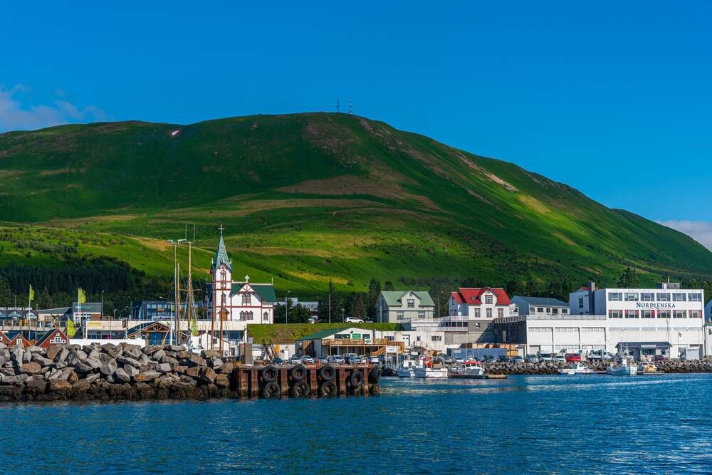 Port de Húsavík avec des bateaux et des maisons colorées, encadré par une colline verdoyante sous un ciel bleu clair.