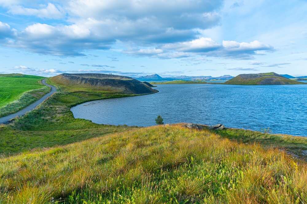 Pseudocratères recouverts d'herbe au bord du lac Mývatn, offrant un panorama paisible et verdoyant.