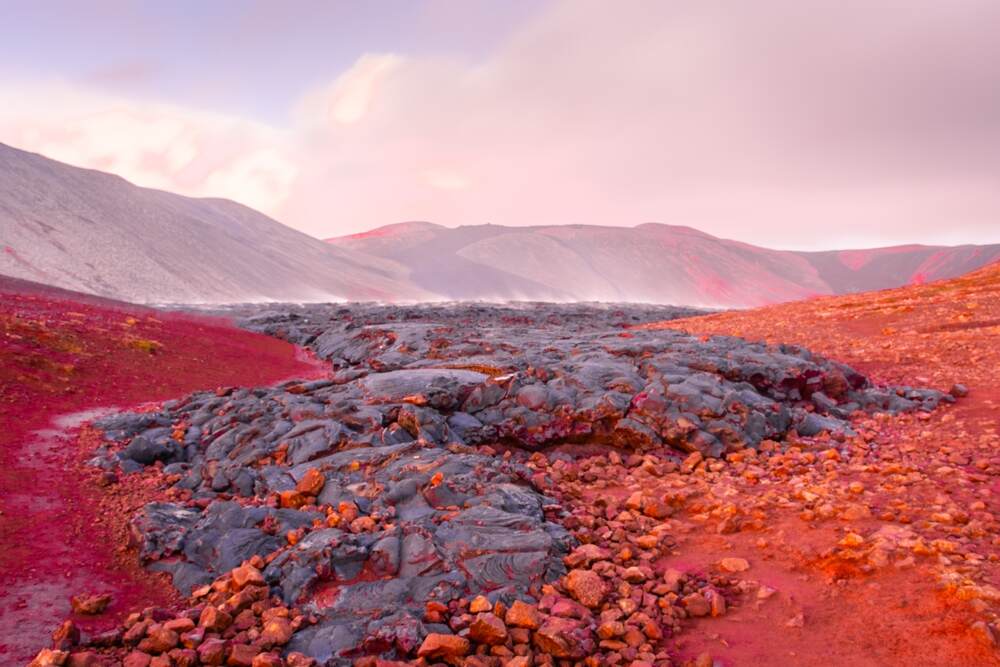 Coulée de lave rouge dans les champs volcaniques d'Islande. Paysage volcanique islandais avec des coulées de lave solidifiées d'un rouge profond sous un ciel rose.