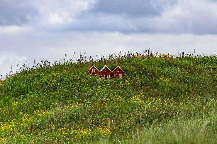 L'Islanda crede negli elfi Casa di elfi nascosta tra il verde.